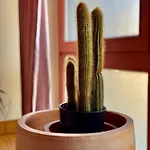 Amety Apartament
