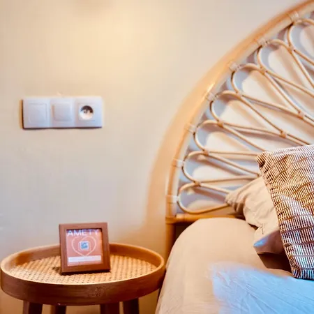 Appartement Amety Colmar