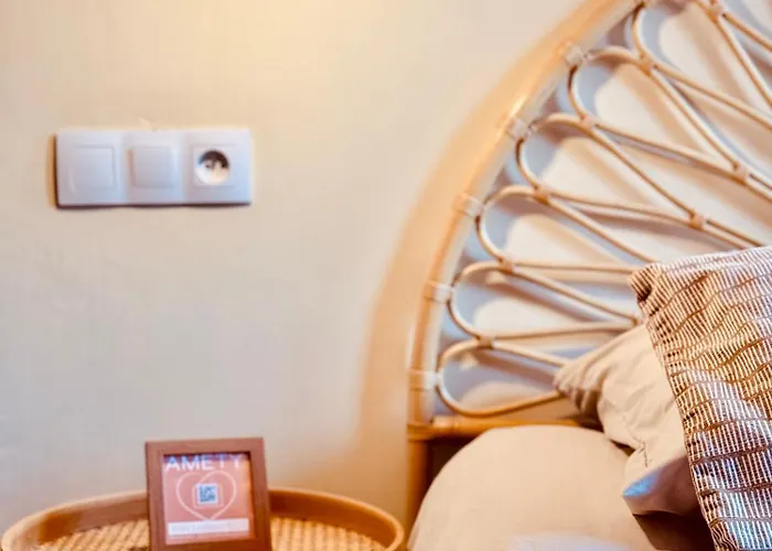 Appartement Amety Colmar